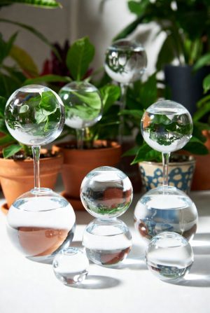Automatic Plant Watering Globes (Set of 6)